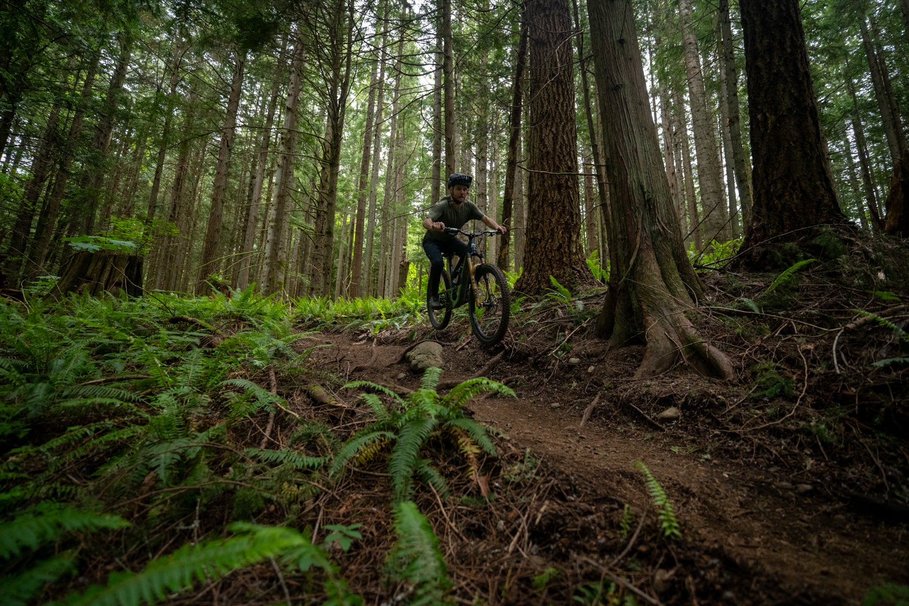 EVO 12 - BLISTER Review