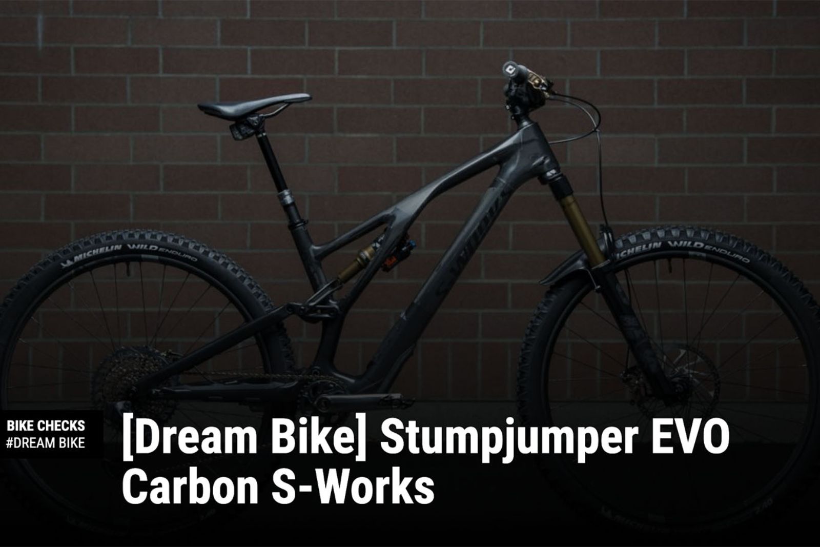MTB-Mag *Dream Bike* Stumpjumper EVO Carbon S-Works