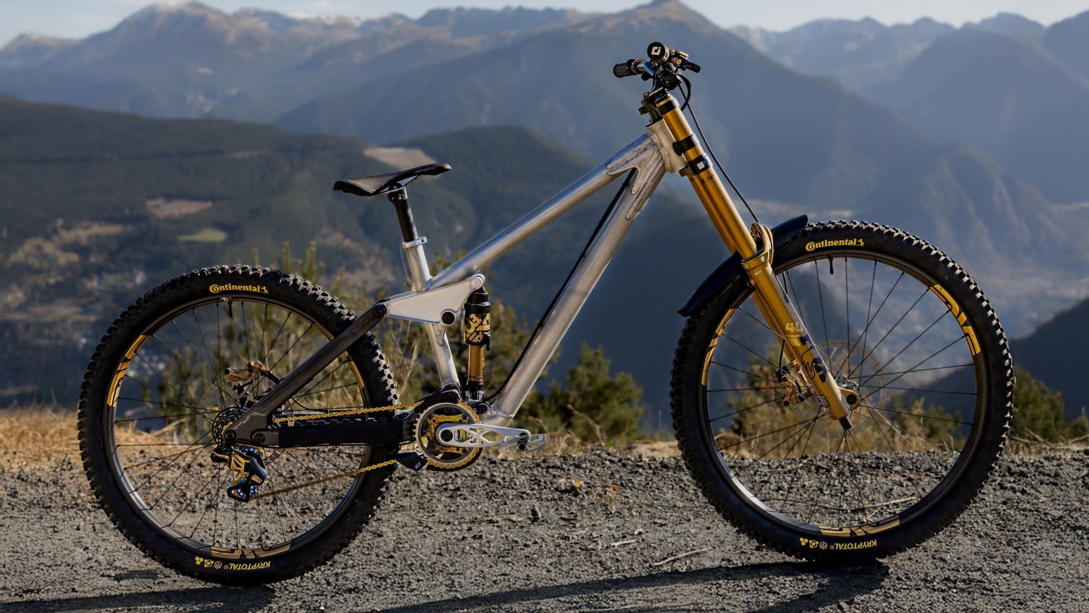 Full Bike with TRP EVO components in black gold and silver