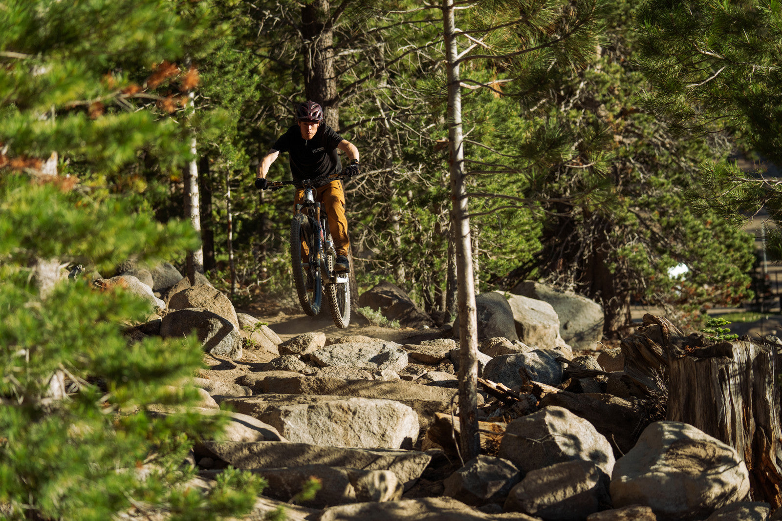 person riding a mountain bike in a forest on a rocky trail