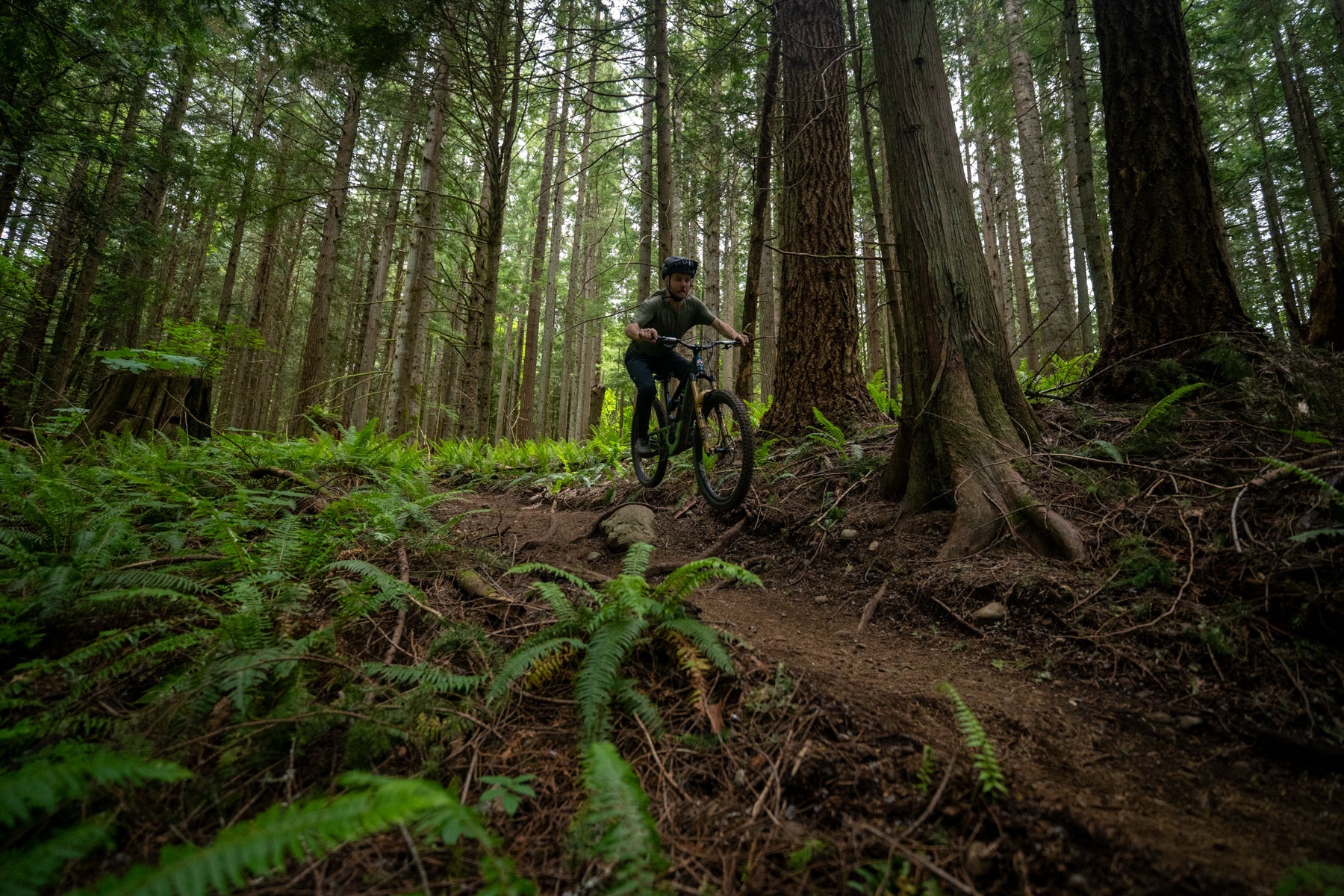EVO 12 - BLISTER Review