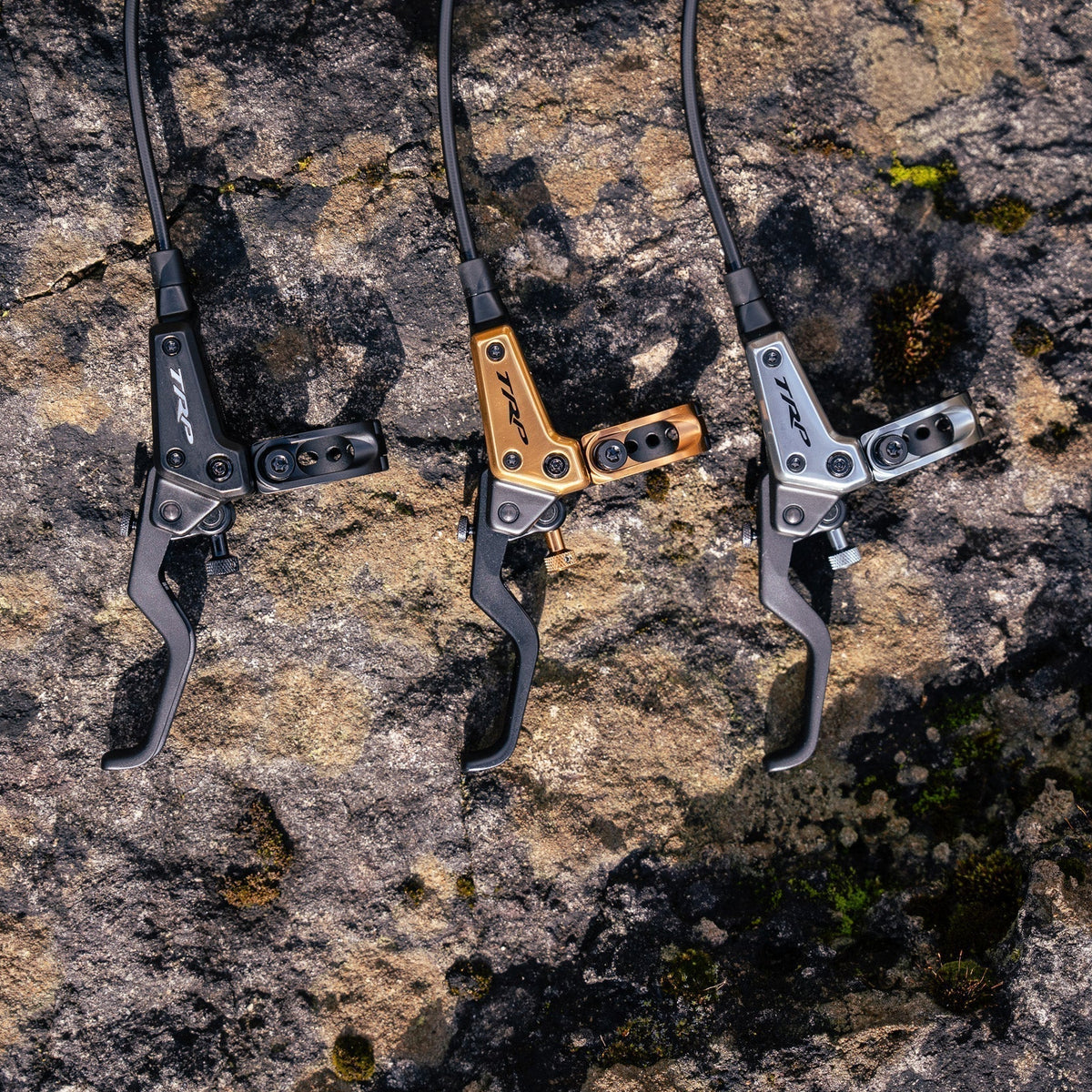Introducing The EVO Family
