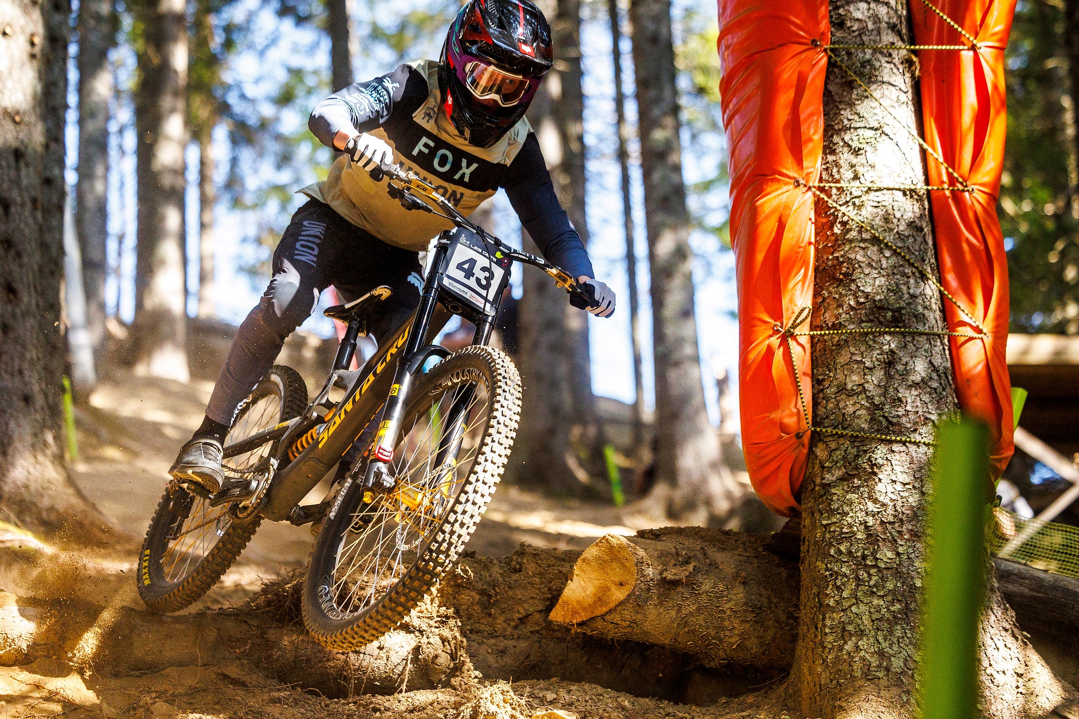 TRP downhill mountain bike category icon - extreme gravity components for  DH racing and riding"