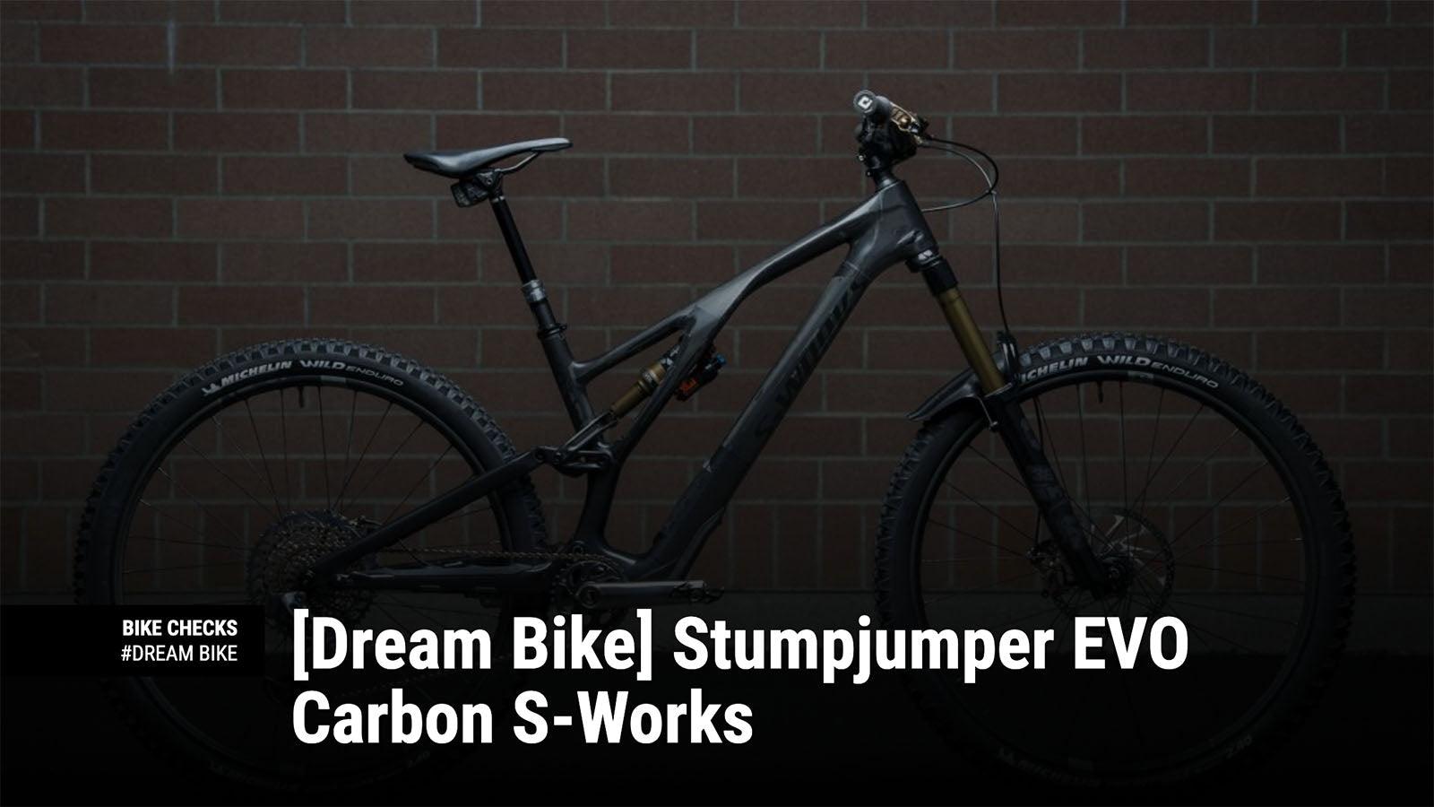 Dream best sale bike mtb