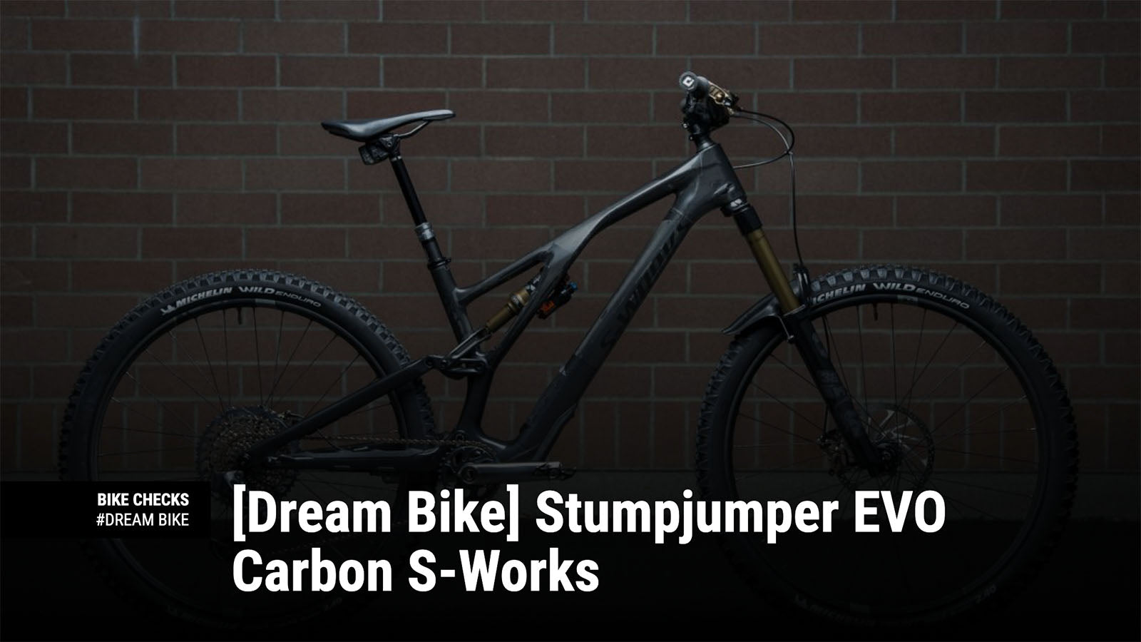 TRP Stumpjumper EVO Carbon S-Works