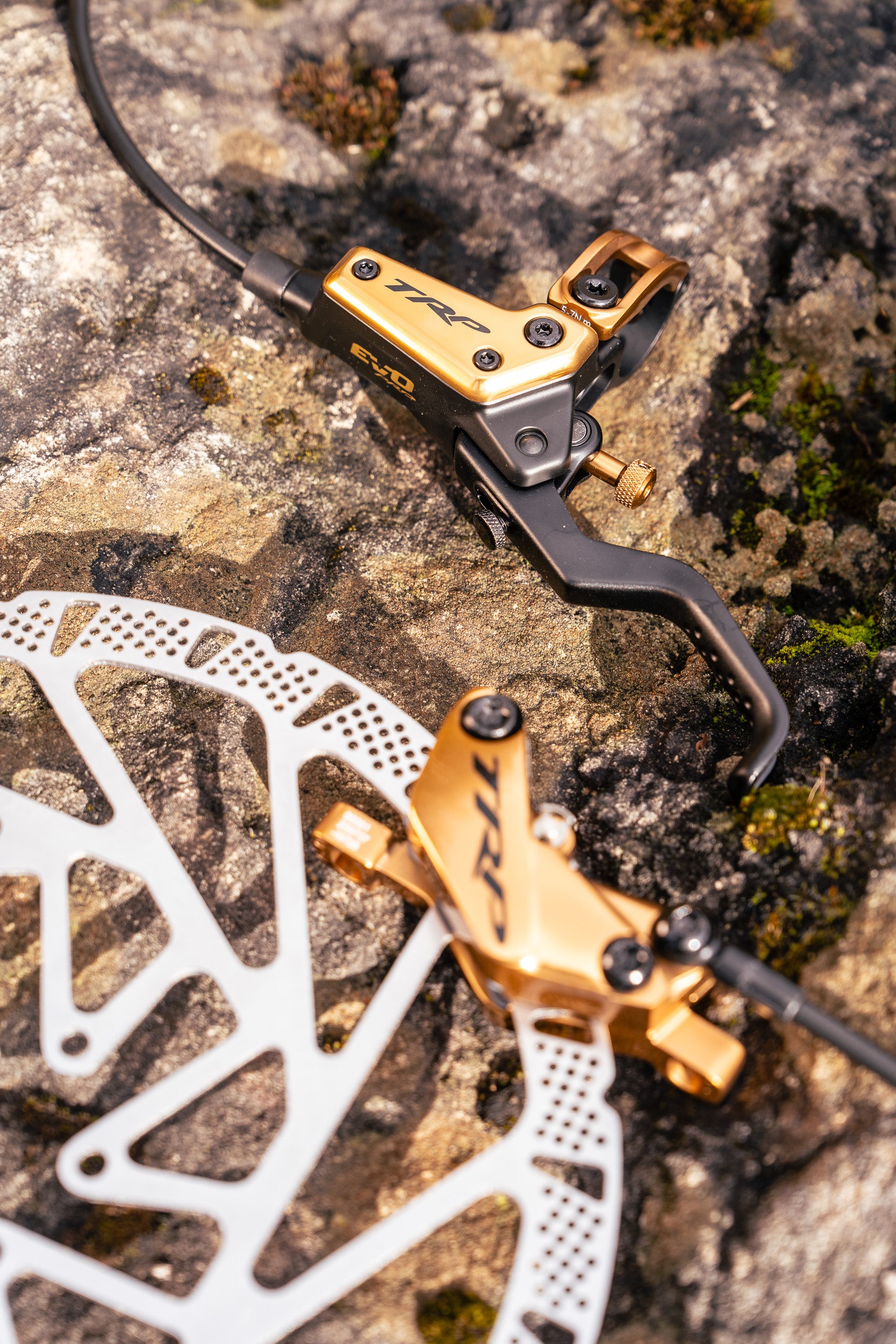 Close-up of gold and black EVO Pro components on a rock textured surface
