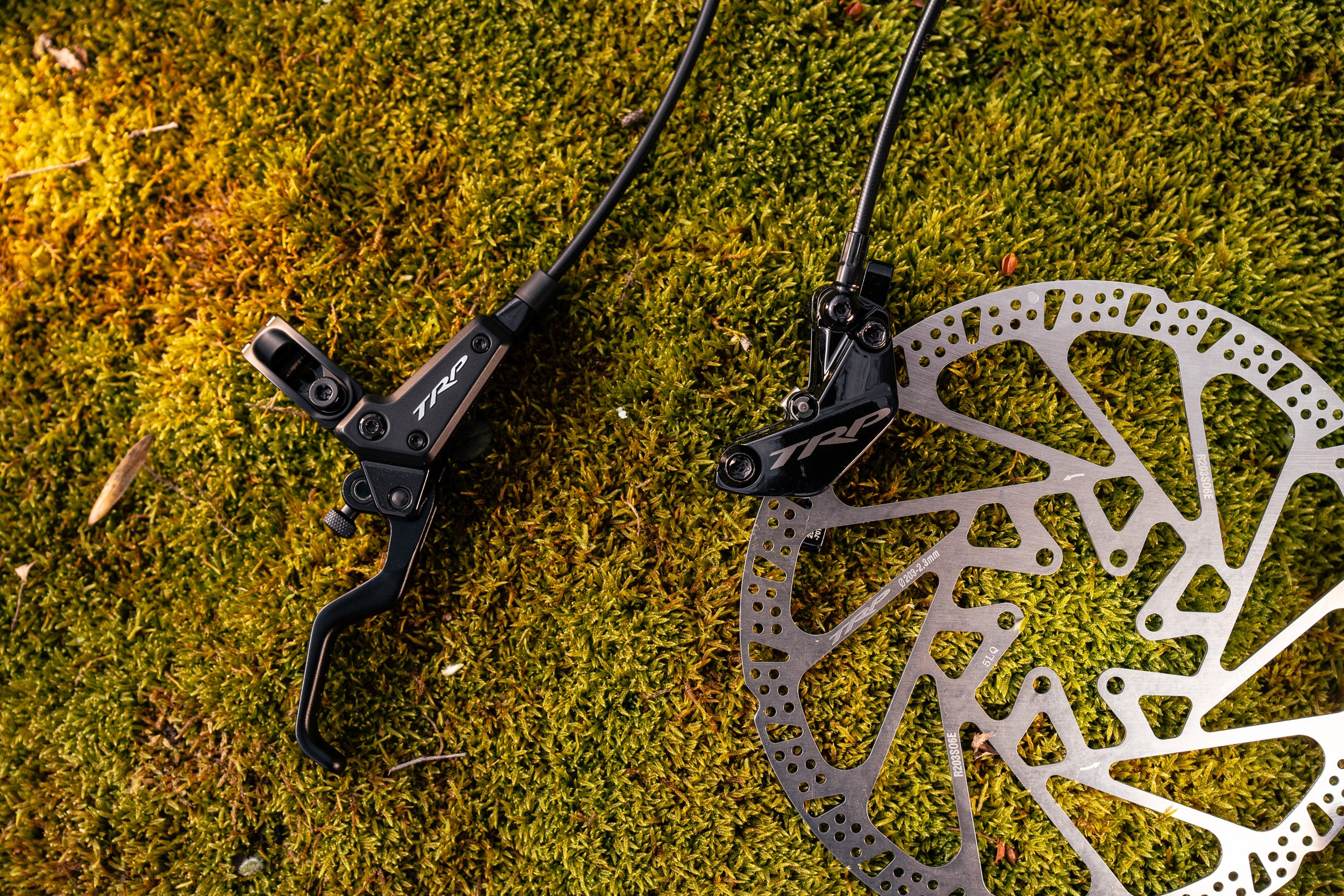 Bicycle brake lever and disc rotor on a mossy surface