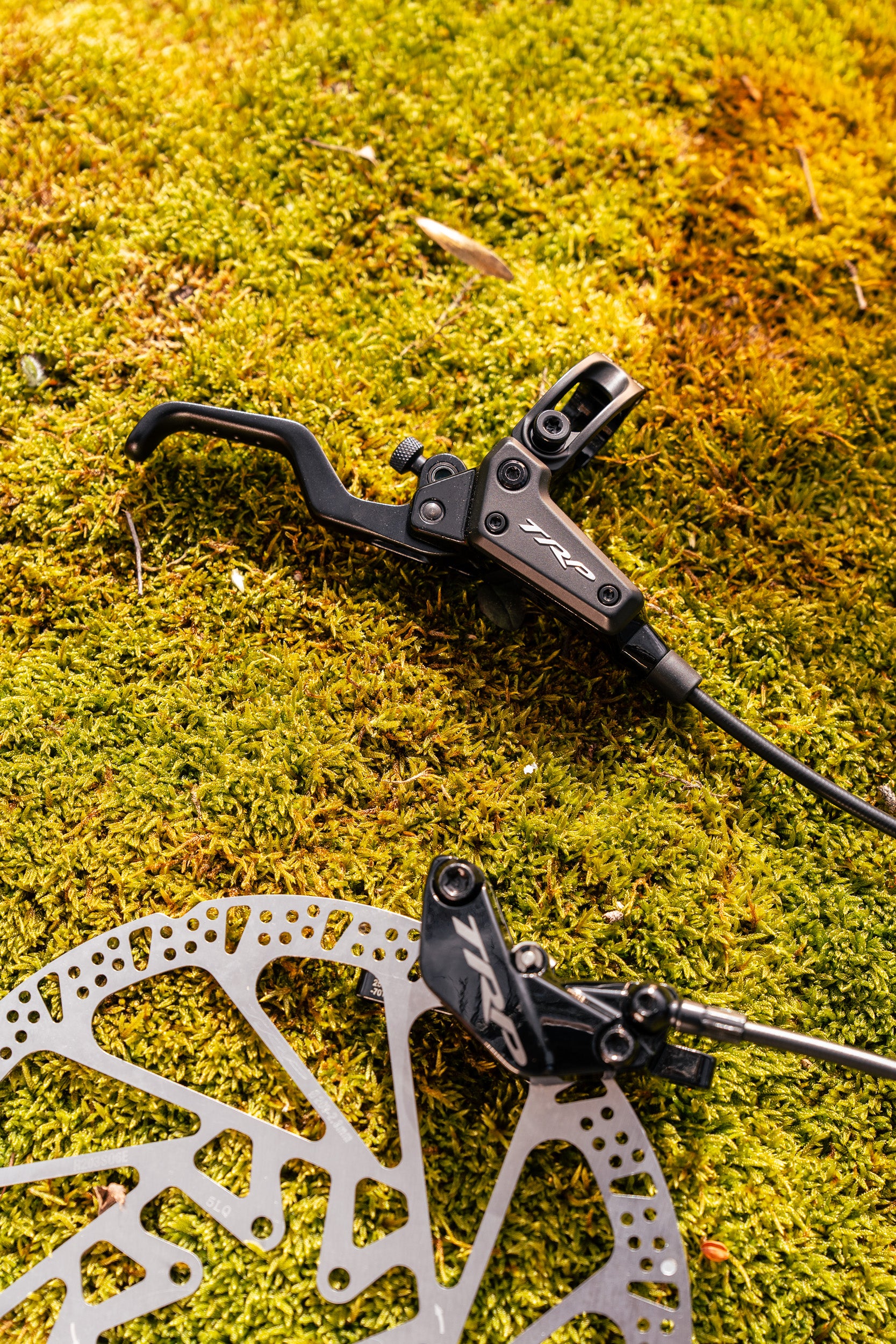 Introducing The EVO Family
